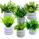 Go Hooked Artificial Mini Plant (6 Pack) | Small Faux Plants Home & Office Decor, Living Room, Bedroom, Tabletop & Shelves | Small Potted Plants | Stylish Round Pot