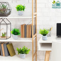 GoHooked assorted mini artificial plants in stylish round pots, perfect for home and office decor.