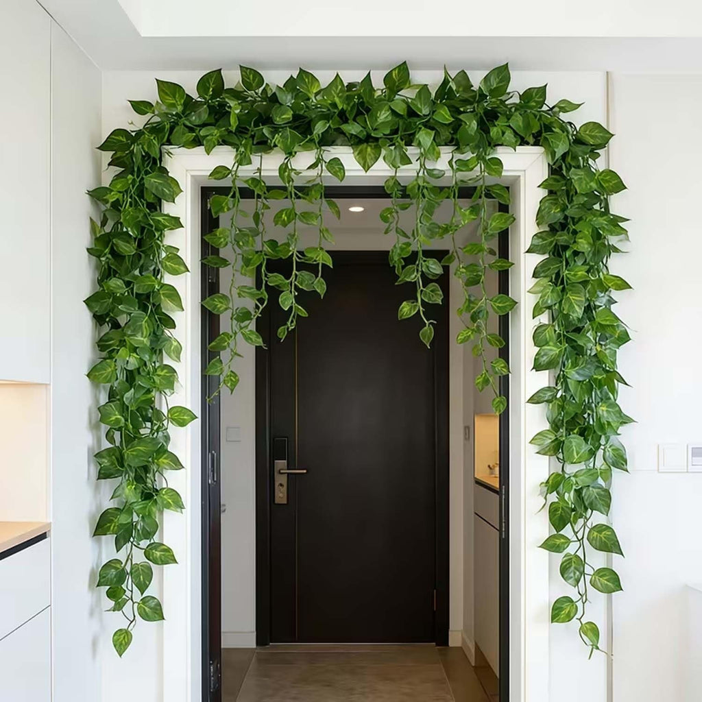 Go Hooked artificial money plant creeper garland with green leaves, draped around a doorway for home decor.