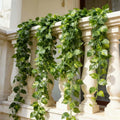 Go Hooked artificial money plant creeper garland with green and yellow variegated leaves, 6 ft long, draped over a balcony railing.