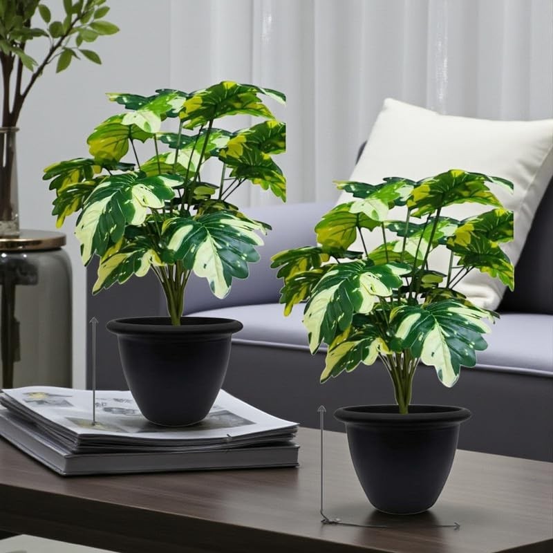 GoHooked Pack of 2 artificial Monstera Deliciosa plants with 18 variegated green and yellow polyester leaves in black nursery pots.