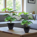 GoHooked artificial Monstera Deliciosa plant with 18 green patterned leaves in a black nursery pot, set of 2.