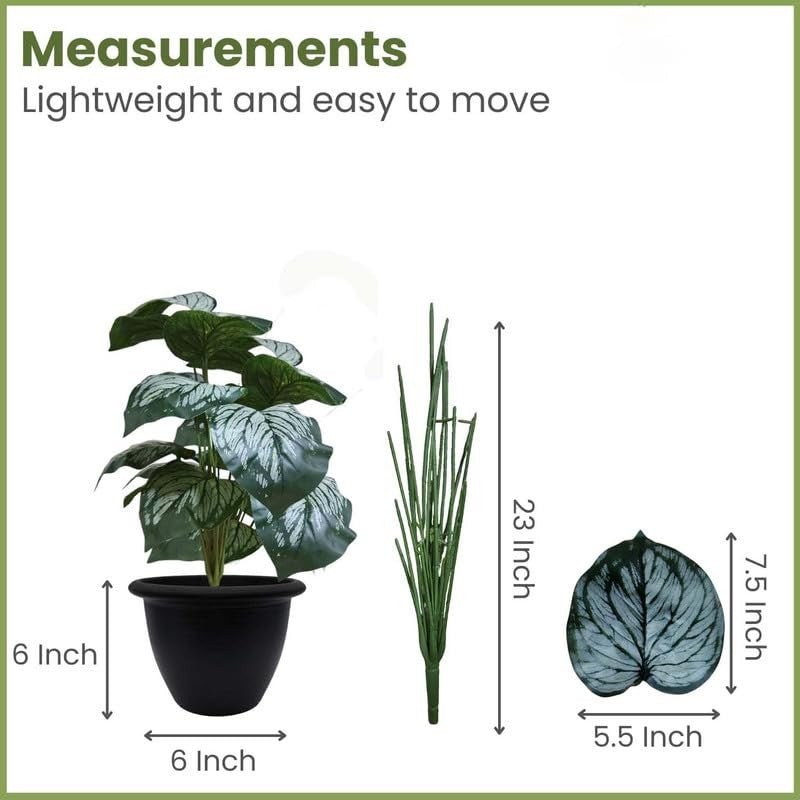 GoHooked Monstera Dubia artificial plant with 18 green patterned polyester leaves in a black nursery pot.