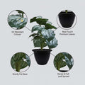 GoHooked artificial Monstera Dubia plant with 18 green patterned polyester leaves in a black pot. UV-resistant.
