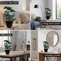 GoHooked artificial Monstera Dubia plant with 18 green patterned polyester leaves in a black pot, ideal for indoor/outdoor decor.
