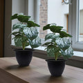 GoHooked artificial Monstera Dubia plant with 18 green patterned polyester leaves in a black nursery pot, set of 2.