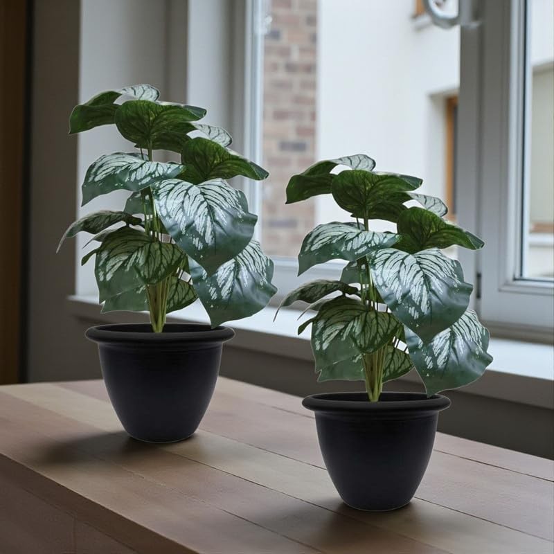 GoHooked artificial Monstera Dubia plant with 18 green patterned polyester leaves in a black nursery pot, set of 2.