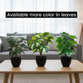 GoHooked artificial monstera plants, 2-pack, with 12 green patterned polyester leaves each. Realistic indoor decor.