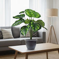 GoHooked artificial Monstera plant with 12 green patterned polyester leaves in a dark pot, 58.40 CM tall.