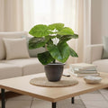 Go Hooked artificial Monstera plant with 12 green polyester leaves in a dark pot, 58.40 CM tall, for home and office decor.