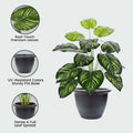 GoHooked artificial Monstera plant with 12 green and yellow striped polyester leaves in a dark grey pot. Realistic indoor decor.