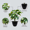 GoHooked artificial Monstera Deliciosa plant with 18 variegated green and white leaves in a black pot.