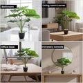 Go Hooked artificial Monstera plant with 12 green leaves in a speckled black pot with white pebbles. Set of 2.