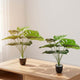 Go Hooked Artificial Indoor Plant with Complimentary Pot and Pebbles Set of 2 | Monstera Green Plants, 12 Patterned Leaves | Decorative Potted Plant for Home Decor, Living Room & Office Desk