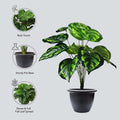 GoHooked Polyester artificial Philodendron plant with 12 green patterned leaves in a black nursery pot. Realistic, dense foliage.