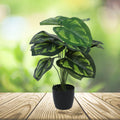 GoHooked artificial Philodendron plant with 12 green patterned polyester leaves in a black nursery pot.