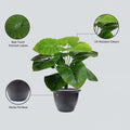 GoHooked artificial Philodendron plant with 12 green leaves in a dark grey pot. Features real-touch leaves and UV-resistant colours.