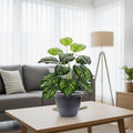 Go Hooked dual shade big leaves artificial plant in a dark grey pot, realistic polyester leaves with green and yellow stripes.