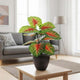 Go Hooked Artificial Plants 12 Leaves with complimentary Nursery Pot Fake Tree Floor Faux Tropical Plants Decorative Greenry House Potted Tall for Home Office Living Room Decor Indoor Garden