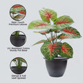 GoHooked artificial plant with large green and red leaves in a dark grey pot. Features realistic leaves and dense foliage.