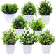 Go Hooked Artificial Plants Small, Mini Artificial Plants Indoor for Home Farmhouse Bathroom Shelf Dcor Height 17CM Green and White 8 (Design May Vary)