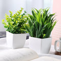 GoHooked artificial plants in white square pots, one with small green leaves, the other with spiky green leaves. Perfect for farmhouse decor.