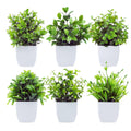 GoHooked set of 6 small artificial green plants in white pots, perfect for home or farmhouse decor.