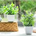 GoHooked artificial plants in white square pots, perfect for farmhouse bathroom shelf decor. Green leaves.