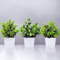 GoHooked set of 3 artificial green and white plants in white square pots, perfect for farmhouse decor.