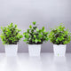 Go Hooked Artificial Plants mini pots Faux Plants Small Indoor for Home Farmhouse Bathroom Shelf Dcor Height 17CM Green and White 3 (Design May Vary)