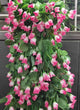 VIMIFORYOU Artificial Hanging Rose Garlands Artificial Rose Flowers Vines for Home D�cor, Party D�cor, Special Occasion D�cor (Pack of 2, 35 Inch,1 Pink & 1 Yellow)