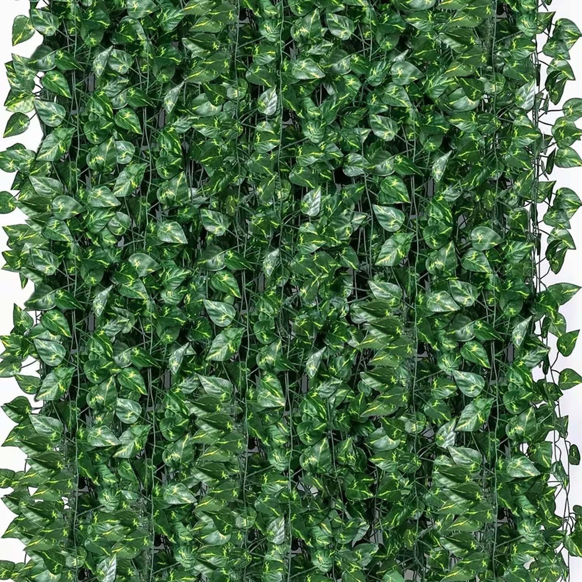 Go Hooked pack of 8 artificial watermelon peperomia leaf garlands, 7 ft each, green plastic creeper for home decor.