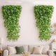 Go Hooked Artificial Creeper for Home Décor (Pack of 12, 7 Ft) | Green Watermelon Peperomia Leaf Garland with 3×3 cm, 72 Leaves Each | Plastic Decorative Creeper for Balcony, Walls & Garden Decorating
