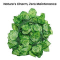 GoHooked artificial watermelon peperomia leaf garland, 7 ft green plastic creeper with realistic leaf design for home decor.
