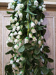 VIMIFORYOU Artificial Hanging Rose Garlands Artificial Rose Flowers Vines for Home D�cor, Party D�cor, Special Occasion D�cor (Pack of 2, 35 Inch,1 Yellow & 1 White)