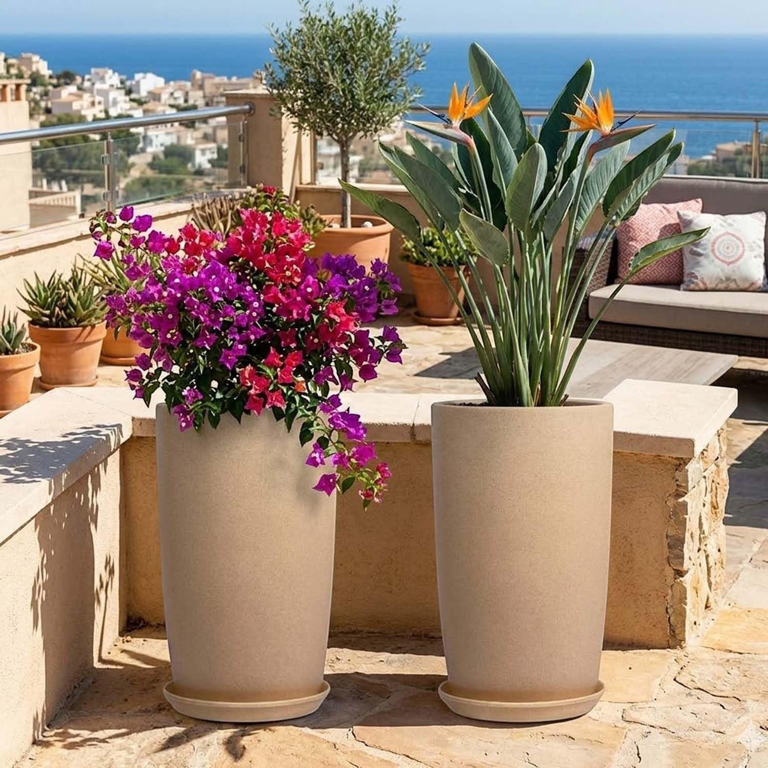 GoHooked beige cylindrical plastic planters with saucers, holding bougainvillea and bird of paradise plants on a sunny patio.