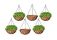 Bianco 8" Coir Hanging Basket/Coco Gardening Liner with Hanging Pots and Metal Hanging Chain/Hanging Planters- Set of 10 Where Beauty Hangs Dangle Delight Take Your Garden to New Heights (Brown)