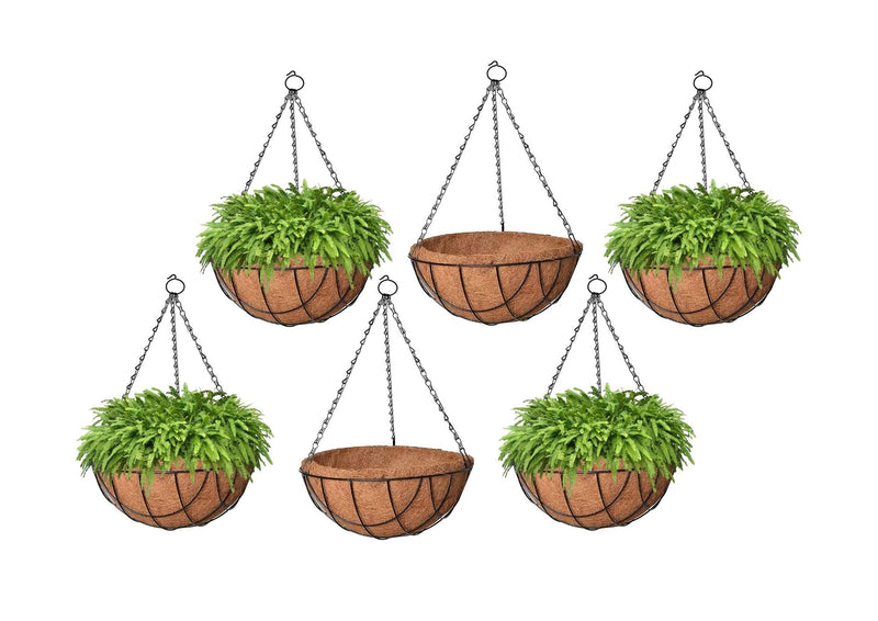 GoHooked Bianco 8" brown coir hanging basket liners with metal chains, set of 10, some filled with green ferns.