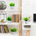 GoHooked BIANCO artificial mini plants in white round pots, 6 pack, for home and office decor.