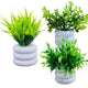 Bianco Artificial Mini Plant (3 Pack)| Small Faux Plants Home & Office Decor, Living Room, Bedroom, Tabletop & Shelves | Small Potted Plants | Stylish Round Pot