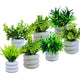 Bianco Artificial Mini Plant (7 Pack) | Small Faux Plants Home & Office Decor, Living Room, Bedroom, Tabletop & Shelves | Small Potted Plants | Stylish Round Pot