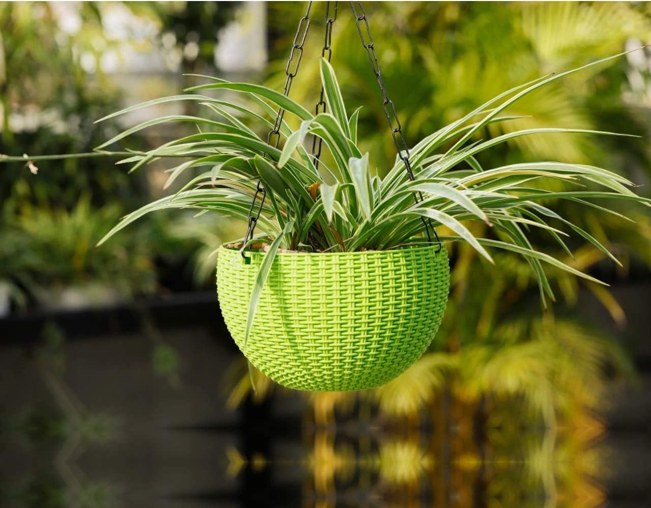 GoHooked Bianco green plastic hanging planter with woven rattan look, 7.1 inch diameter.
