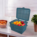 GoHooked BIANCO grey plastic picnic storage basket with lid and handle, filled with toy fruits.