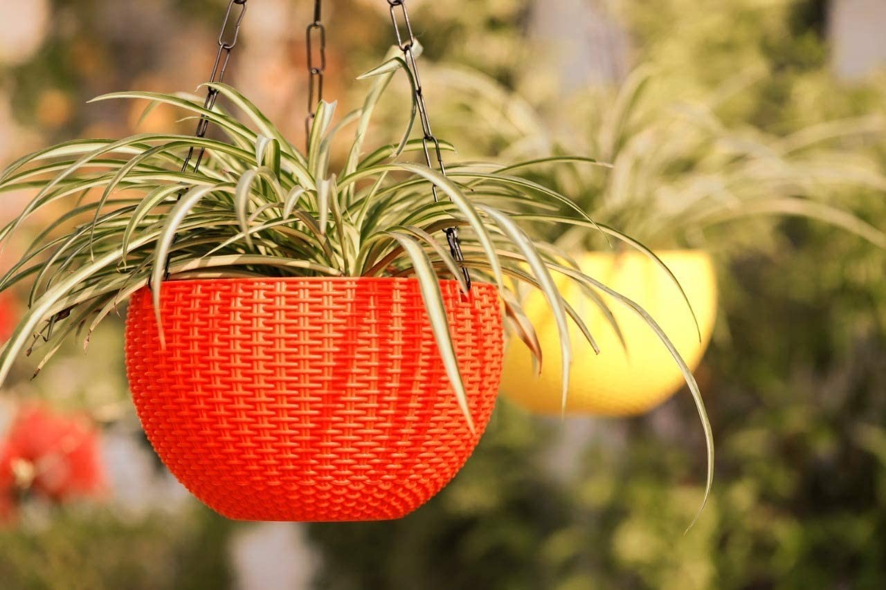 GoHooked Bianco orange plastic hanging planter with woven rattan look, 7.1 inch diameter, holds a spider plant.