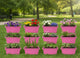 Bianco Rectangular Plastic Pots for Plants, Jupiter Flower Pots for Home, Window Display, Garden (35 x 18.5 x 15 cm) (Pink) (Pack of 12)