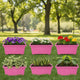 Bianco Rectangular Plastic Pots for Plants, Jupiter Flower Pots for Home, Window Display, Garden (35 x 18.5 x 15 cm) (Pink) (Pack of 6)