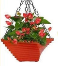 GoHooked Bianco plastic twister hanging flower pot, 9x9x4.5 inch, multicolour, set of 3. Ideal for balcony and garden.