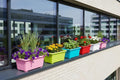 GoHooked Bianco rectangular plastic plant pots in pink, lime green, turquoise, red, white, and purple, holding various flowers and greenery.