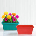 GoHooked Bianco rectangular plastic plant pots, one teal with flowers, one red, 35x18.5x15 cm, pack of 6