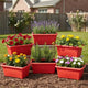 Bianco Rectangular Plastic Pots for Plants, Jupiter Flower Pots for Home, Window Display, Garden (35 x 18.5 x 15 cm) (RED) (Pack of 6)